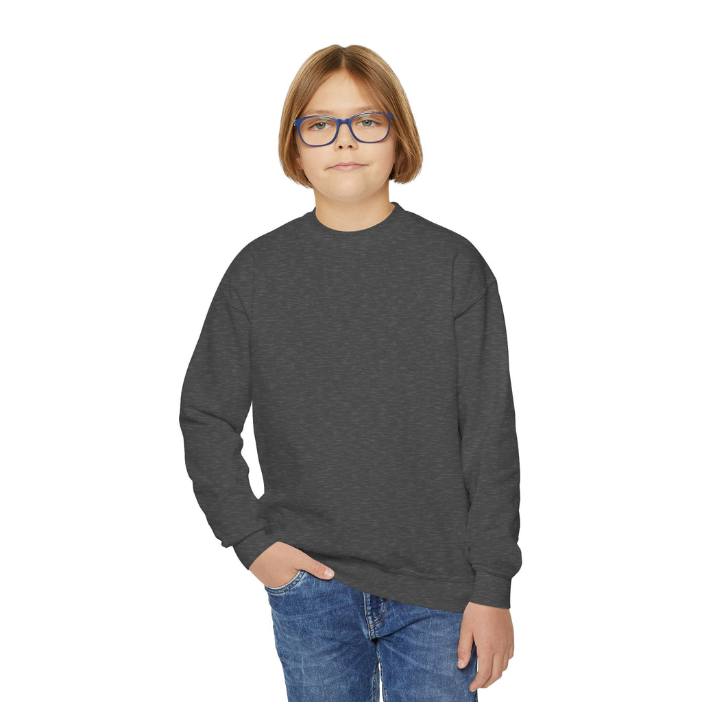 Youth Sweatshirt — Coconut Cove Studio Sunset Graphic Crewneck