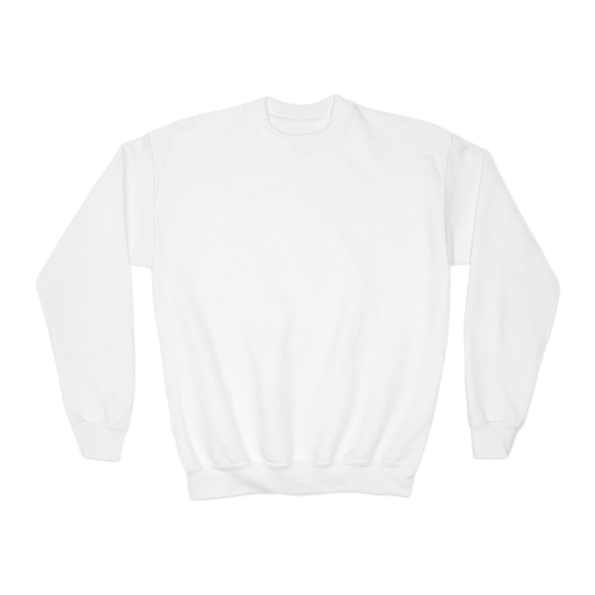 Youth Sweatshirt — Coconut Cove Studio Sunset Graphic Crewneck