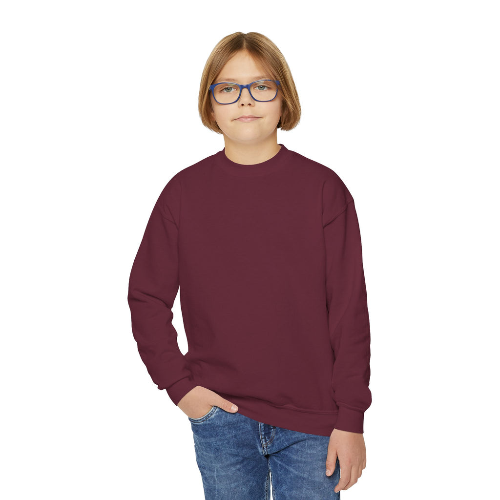 Youth Sweatshirt — Coconut Cove Studio Sunset Graphic Crewneck