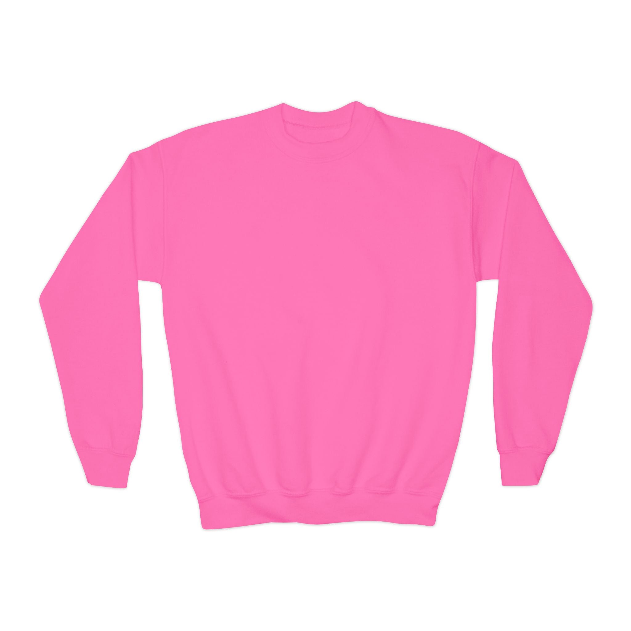 Youth Sweatshirt — Coconut Cove Studio Sunset Graphic Crewneck