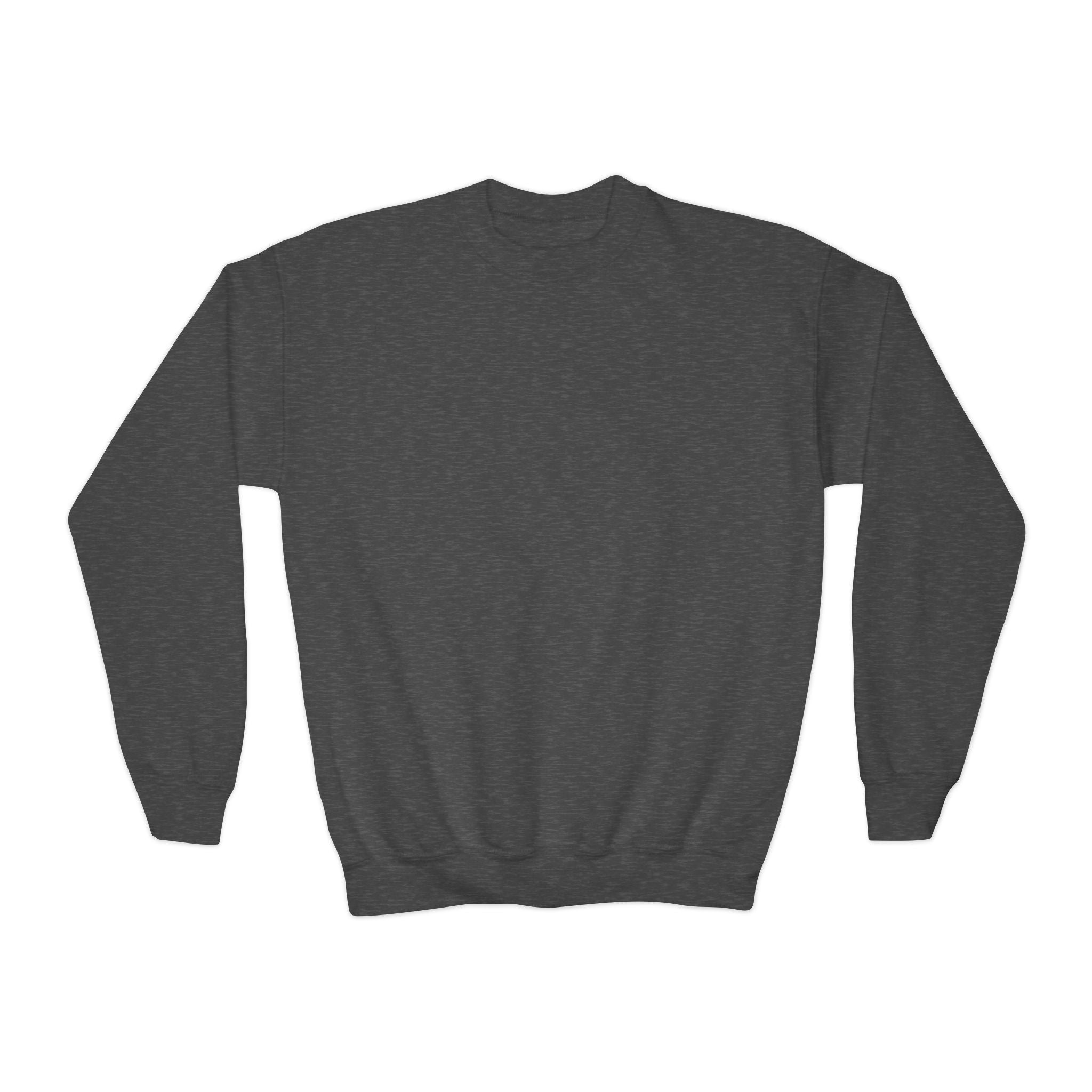 Youth Sweatshirt — Coconut Cove Studio Sunset Graphic Crewneck