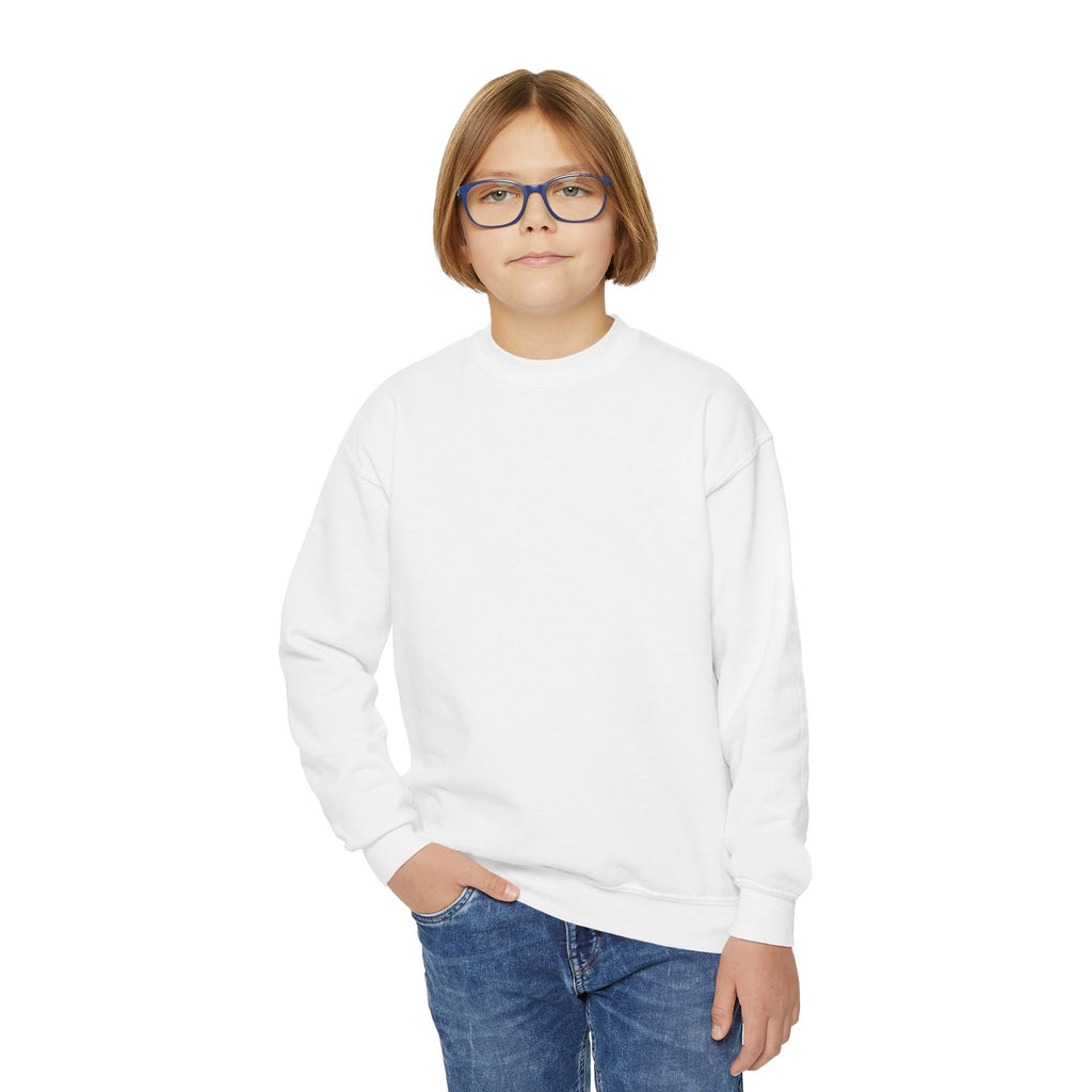 Youth Sweatshirt — Coconut Cove Studio Sunset Graphic Crewneck