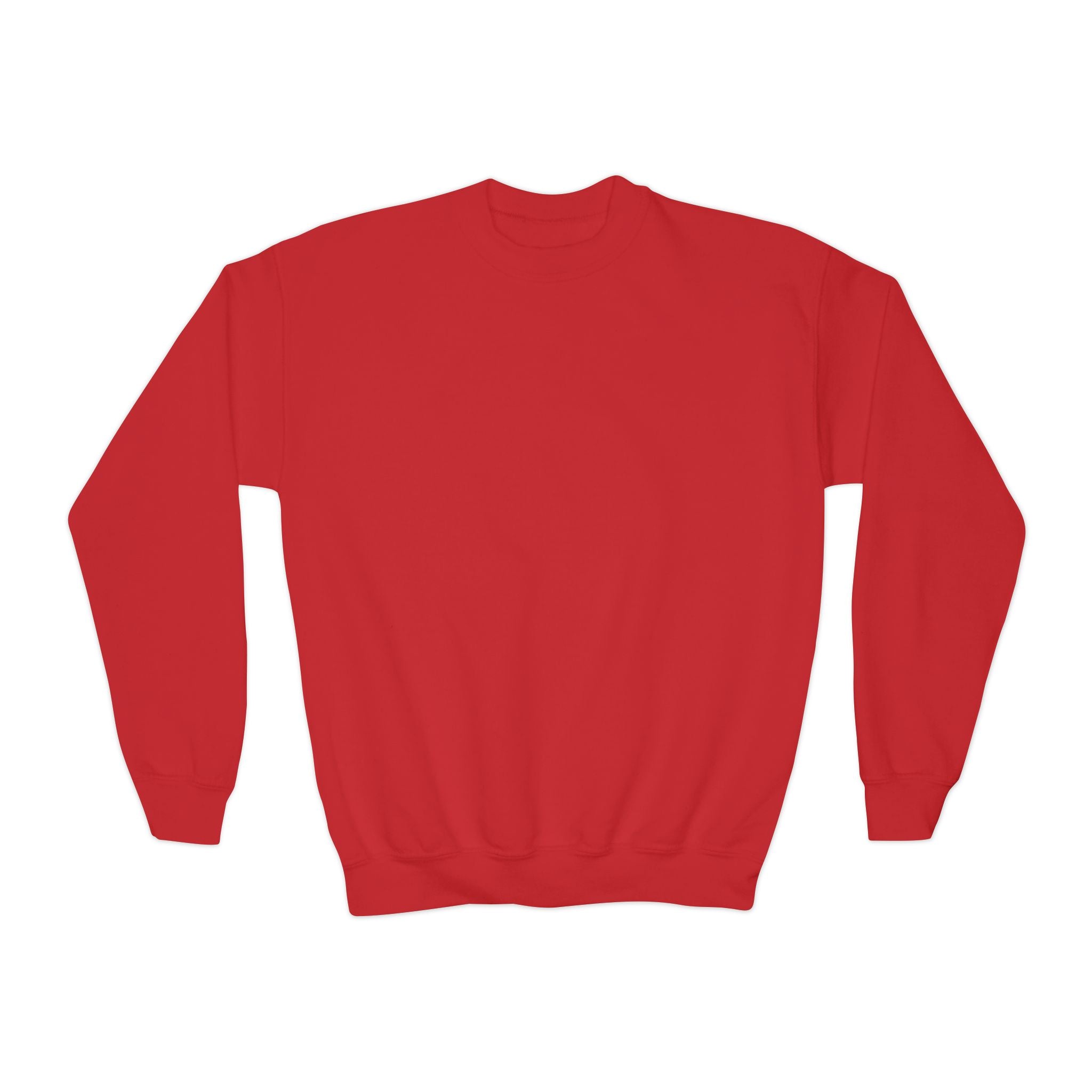 Youth Sweatshirt — Coconut Cove Studio Sunset Graphic Crewneck